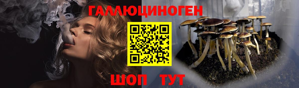 Галлюциногенные грибы мицелий  Вход с VPN  Городец 
