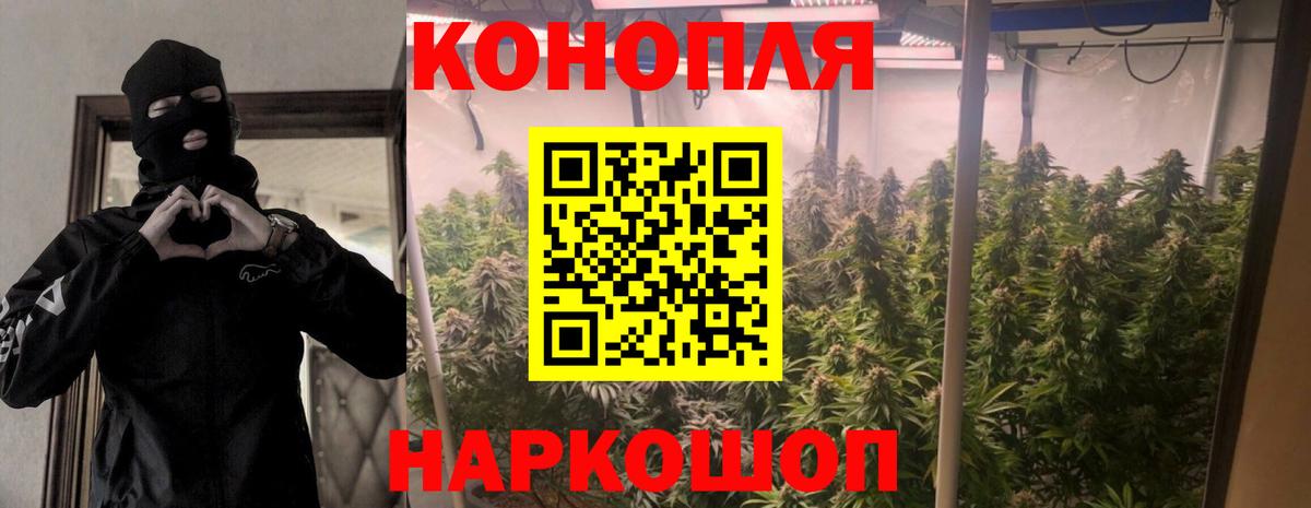 Бошки Шишки AK-47  Бошки Шишки тримм  Городец  Вход с VPN  МАРИХУАНА ГИДРОПОН 